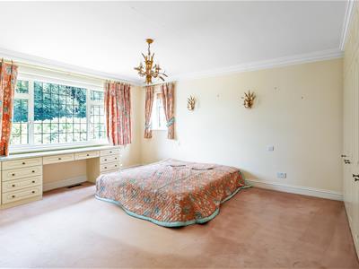 Picture 21